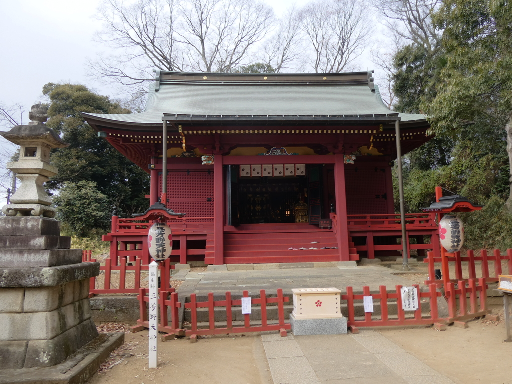 令和６年初詣(三芳野神社 社殿)