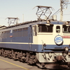 昭和のEF65・・・じゃないよ