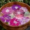 朝顔花手水