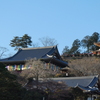聖天院本堂と多宝塔