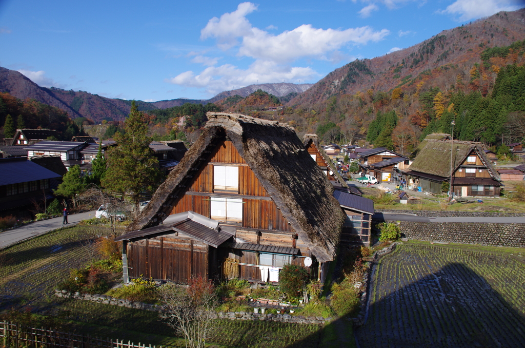 明善寺庫裡からの風景