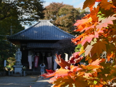 秋の観音寺不動堂