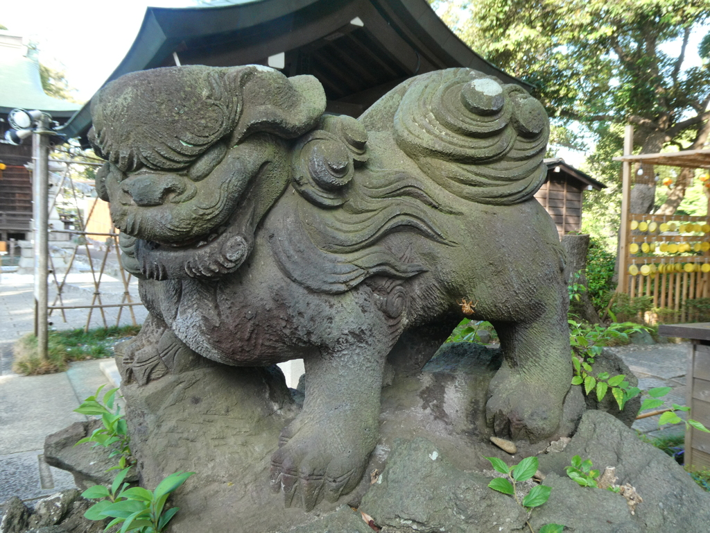 古めの狛犬(阿形)