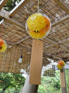 菊の風鈴