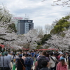 上野に賑わいの春戻る(2)