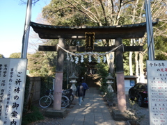南沢氷川神社（鳥居）