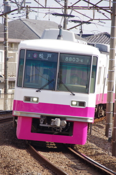 今回はこいつによく会ったなぁ