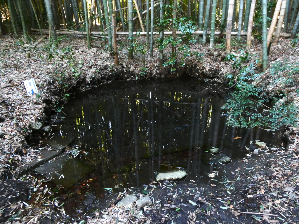 竹林の前の泉