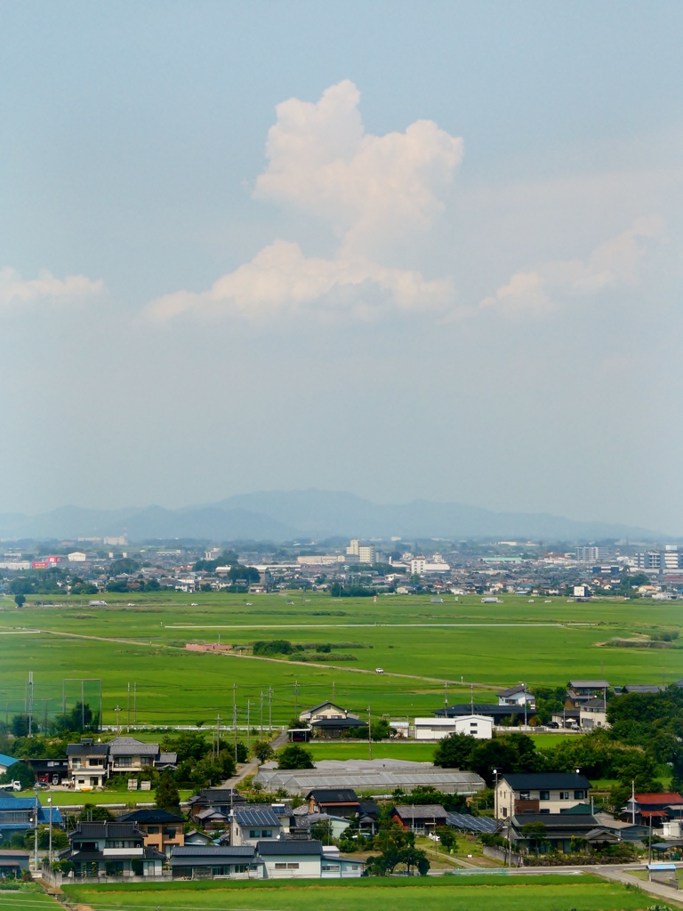 田んぼと赤城山と入道雲