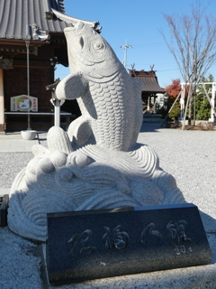 狛鯉(阿形)
