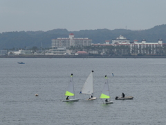 葉山の海で釣り中