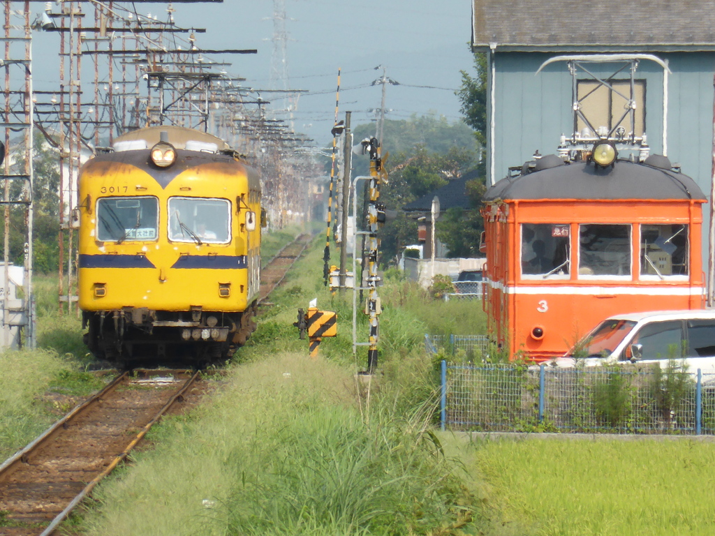 新旧電車の出会い