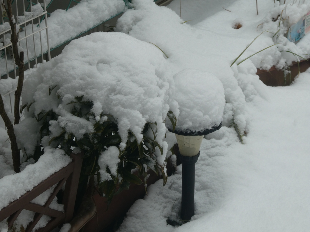 綿帽子かぶって・・・(1)