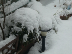 綿帽子かぶって・・・(1)