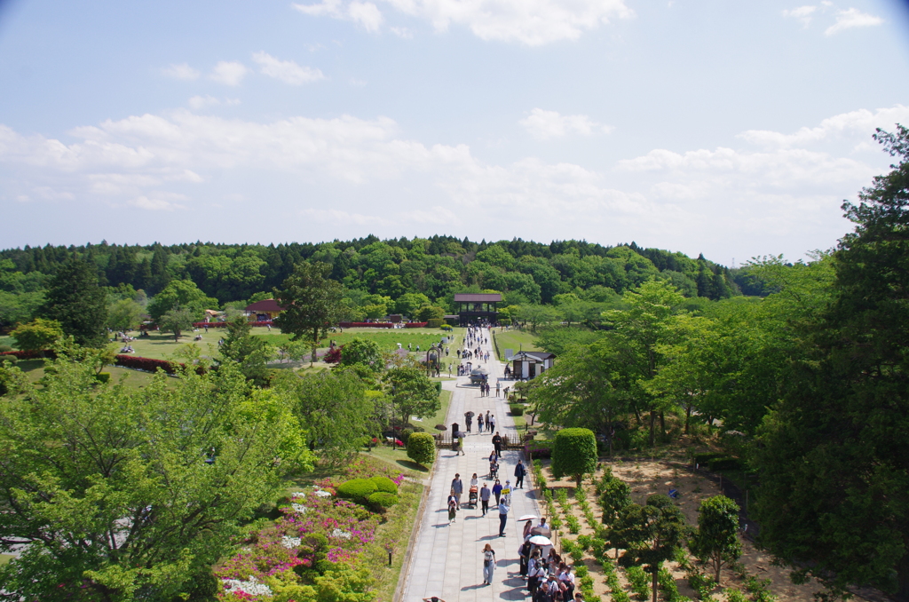 新緑の浄土庭園