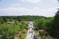 新緑の浄土庭園