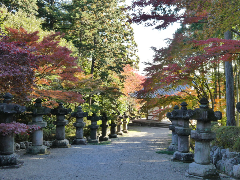 秋の能仁寺参道(1)