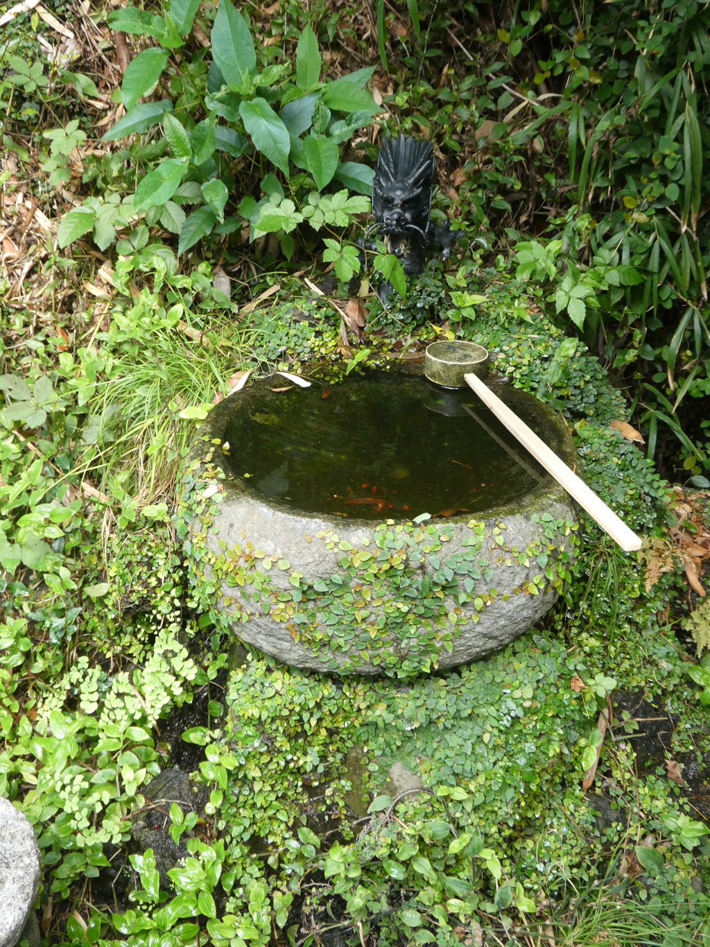 銭洗いの湧水