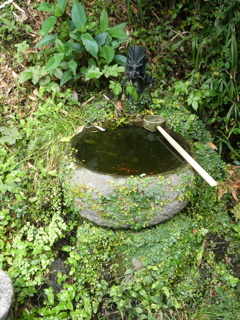 銭洗いの湧水
