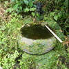 銭洗いの湧水