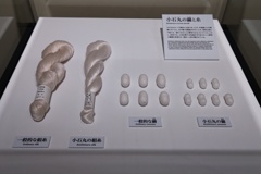 小石丸の繭と生糸