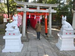 今年デビューしました！