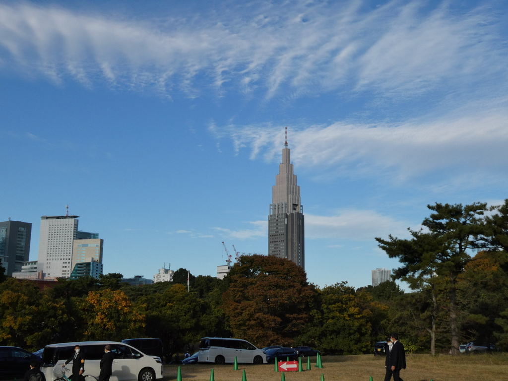 神宮の森とドコモタワー