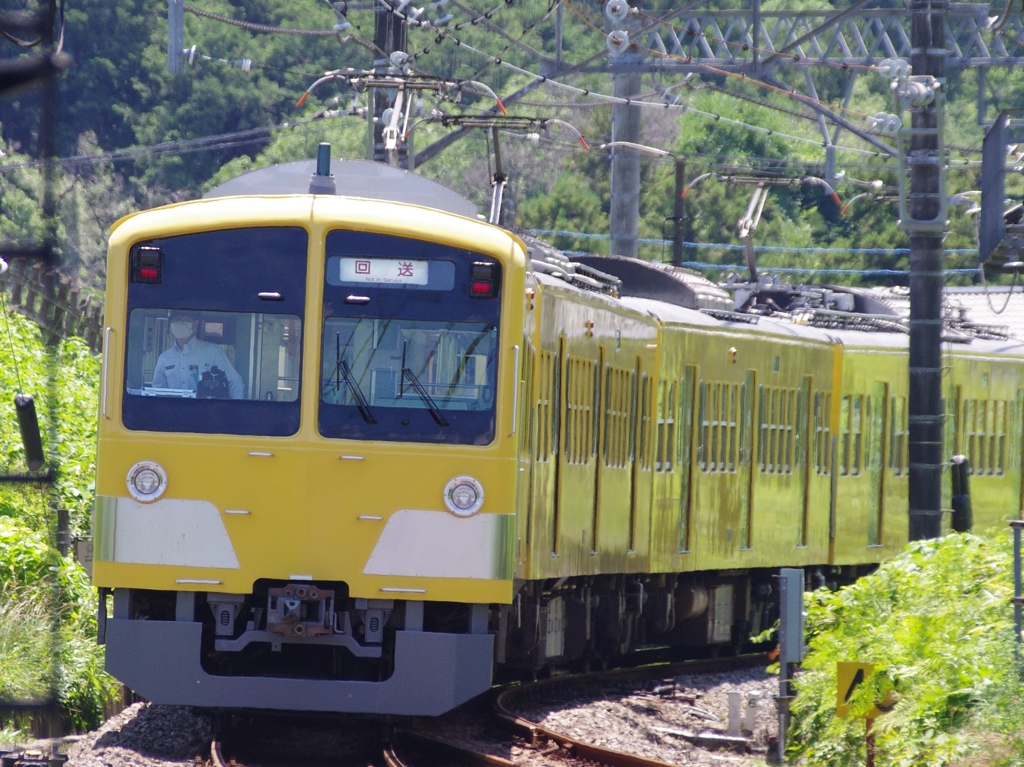 頼もしき黄色い電車