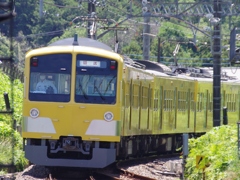 頼もしき黄色い電車