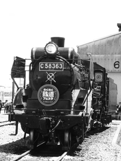 C58-363 in Monochrome(2)