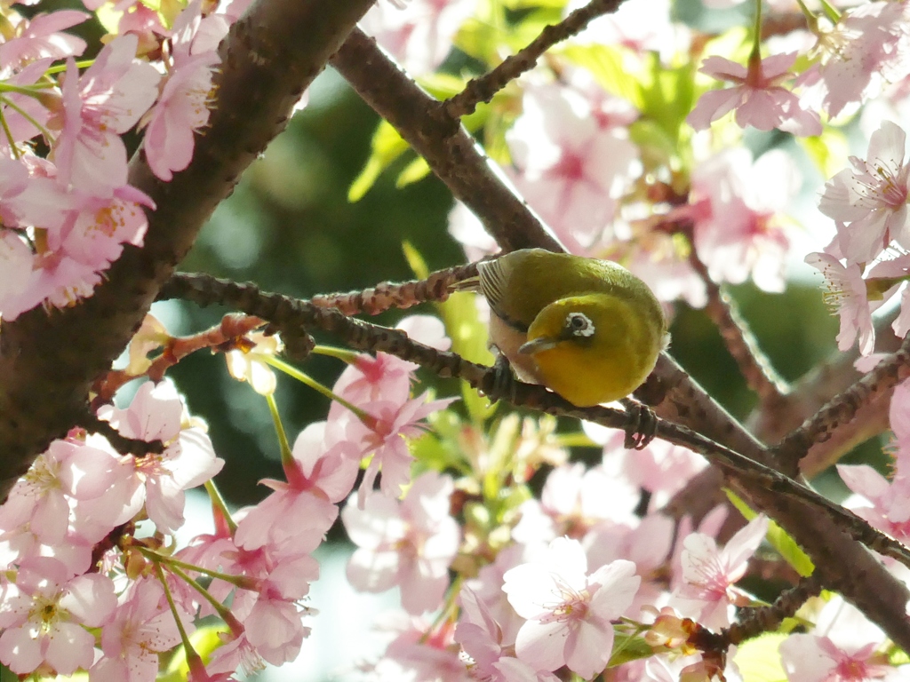 ちょっと振り向き(⋈◍＞◡＜◍)。✧♡
