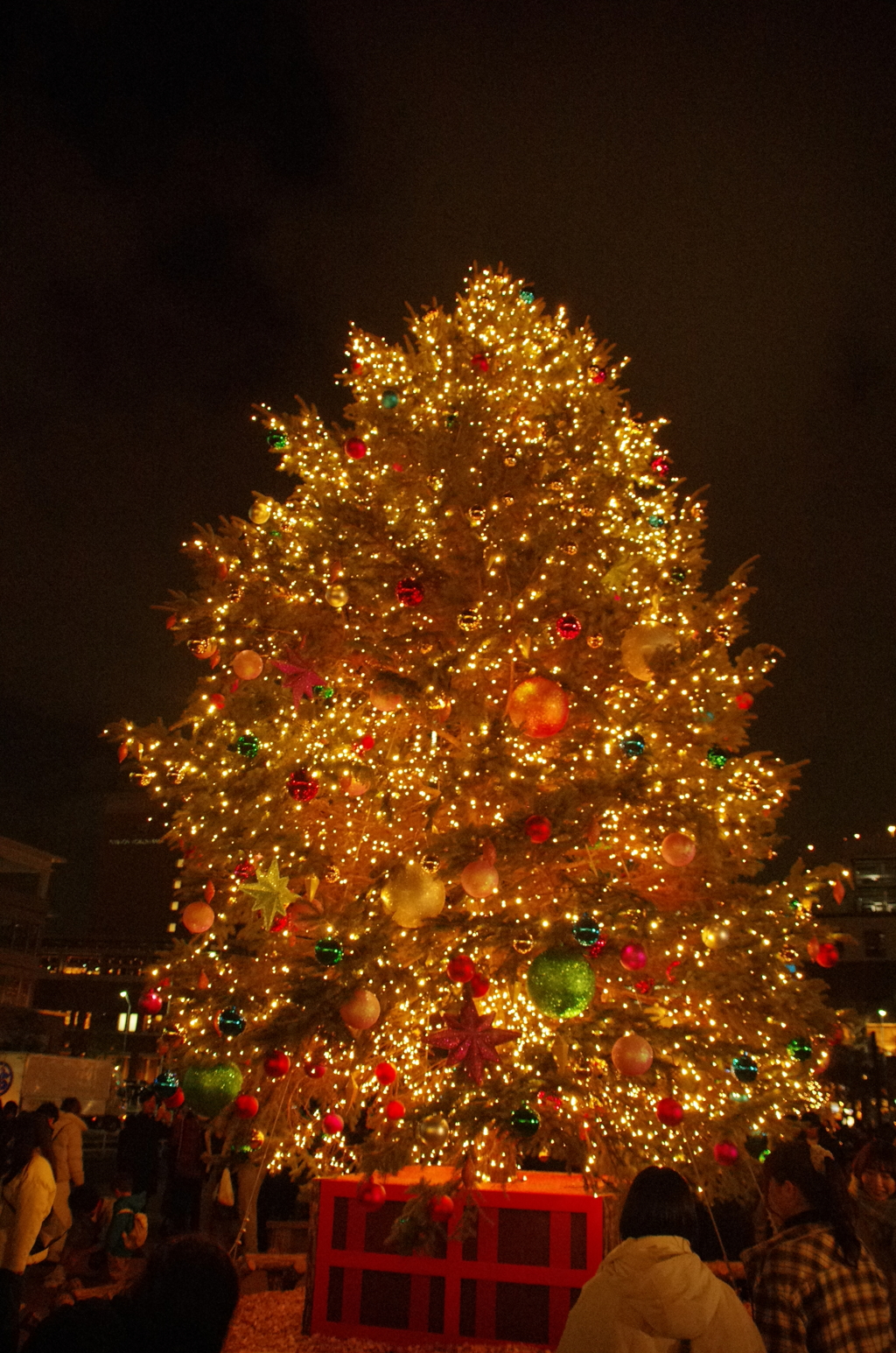 新港中央広場のクリスマスツリー