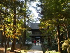 平林寺参道と山門を望む