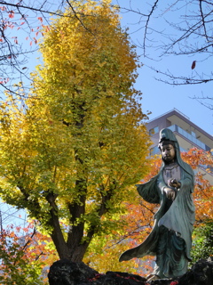 観音様と銀杏