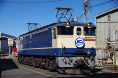 陽が差し凛々しさ増す