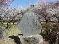 越生梅林の歌碑