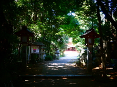 森の奥に・・・