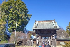 多門寺（山門とご神木？）