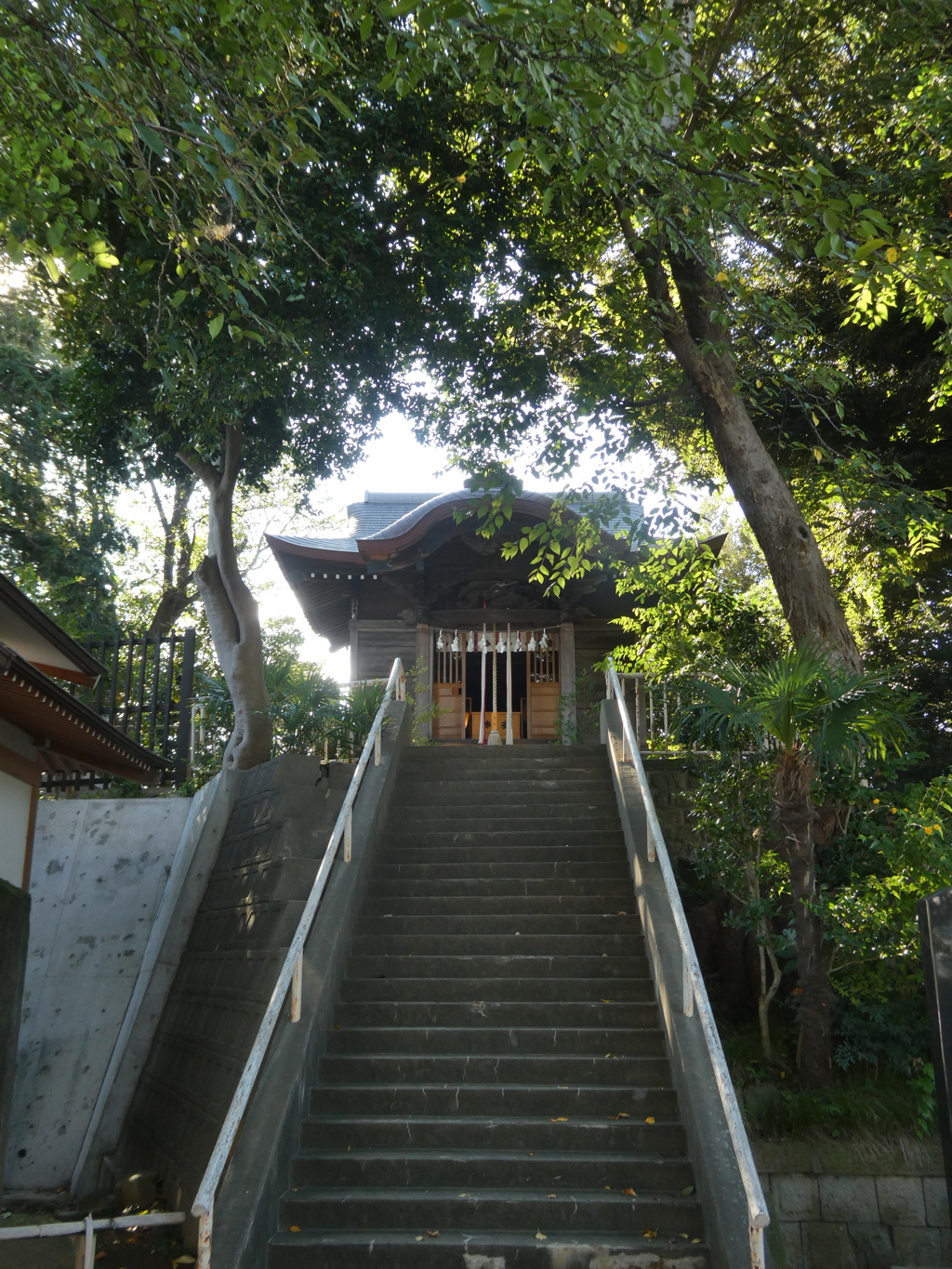 晩夏の愛宕神社