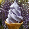 藤のソフトクリーム