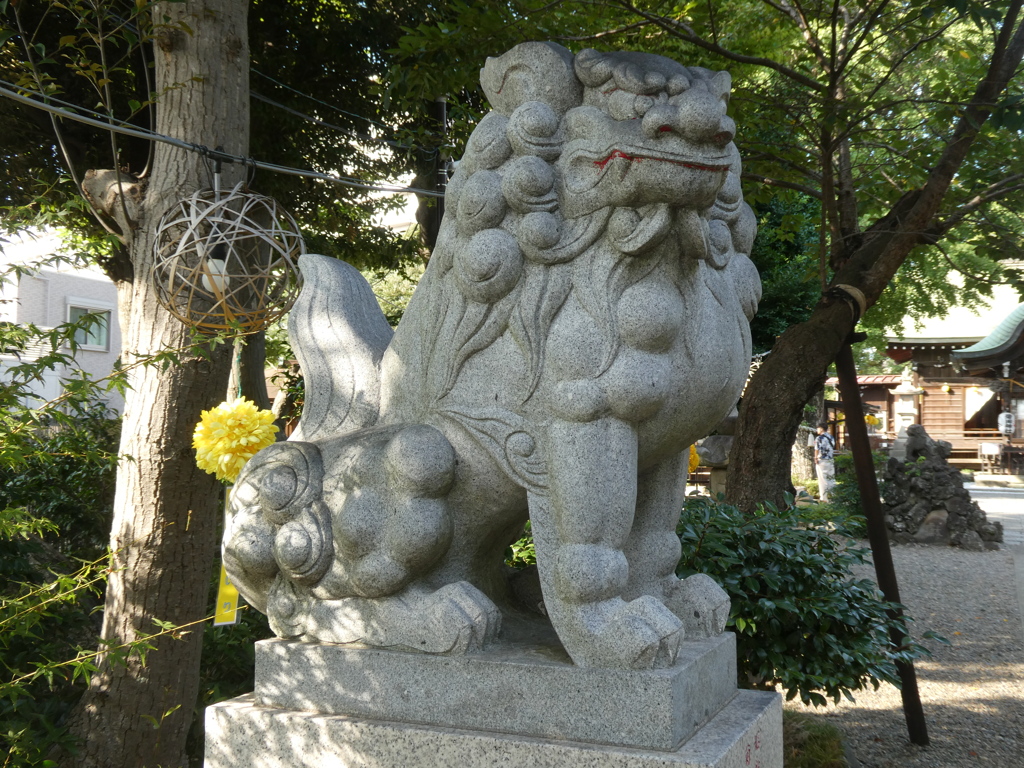 新しめの狛犬(吽形)