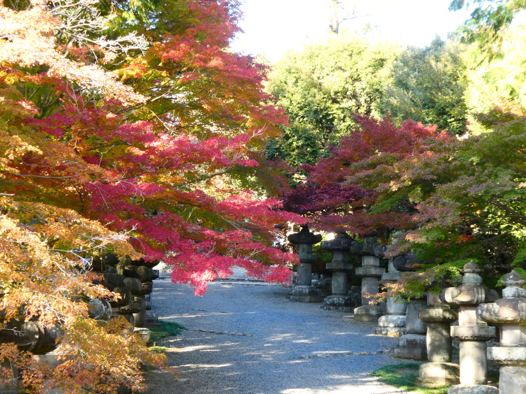 秋の能仁寺参道(2)