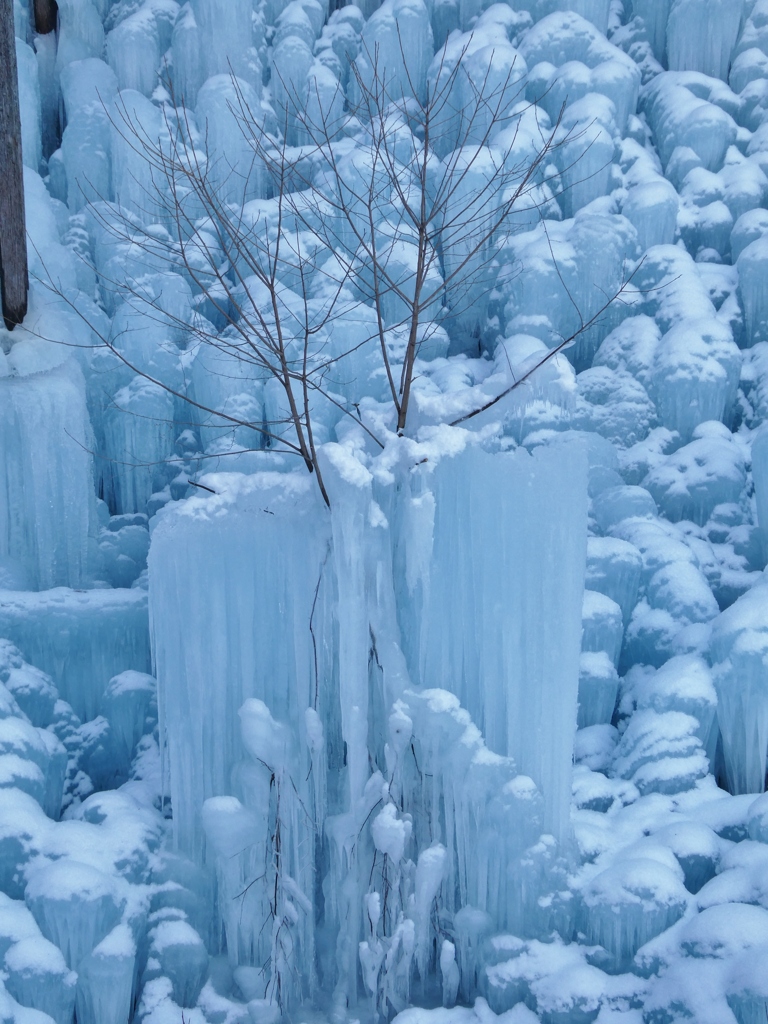 雪の女王