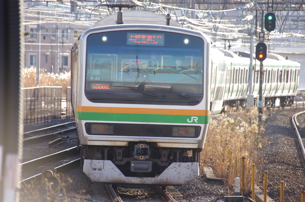 E231系上野東京ライン(3)