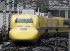 後ろ姿も美しい・・・