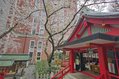 三田春日神社と桜