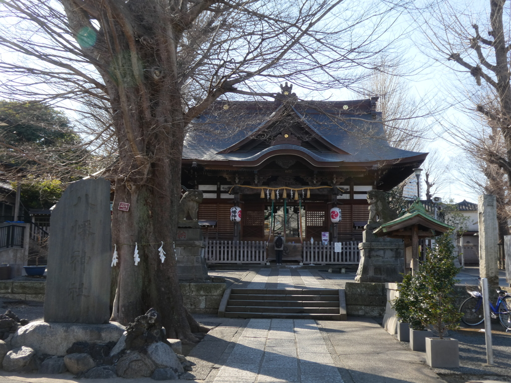 瀧野川八幡神社と御神木