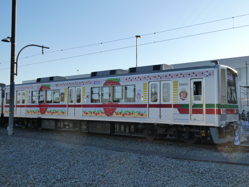 Berry² Happy Train(3)