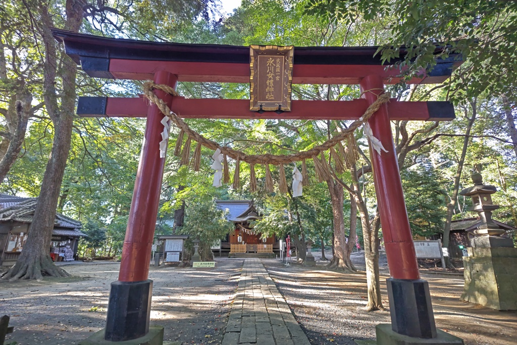 氷川女體神社鳥居