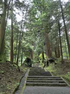 最乗寺への道